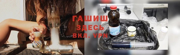 дживик Ельня