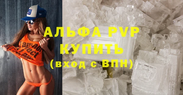 дживик Ельня