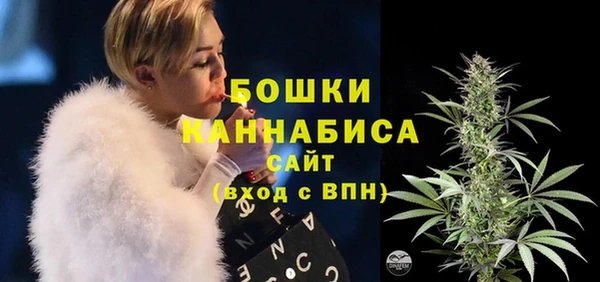 эйфоретик Дмитров