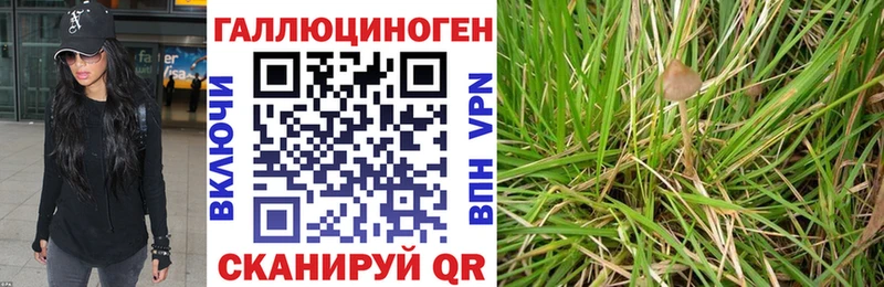 Галлюциногенные грибы мицелий  Купить закладки  Лесной 